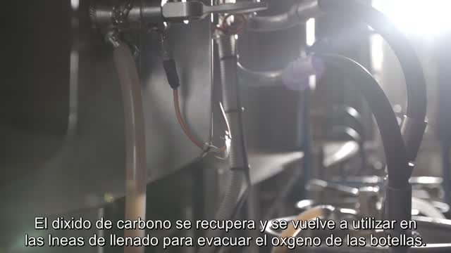 Fermentacion Spanish