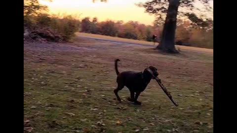 Budderz & The Stick Battle