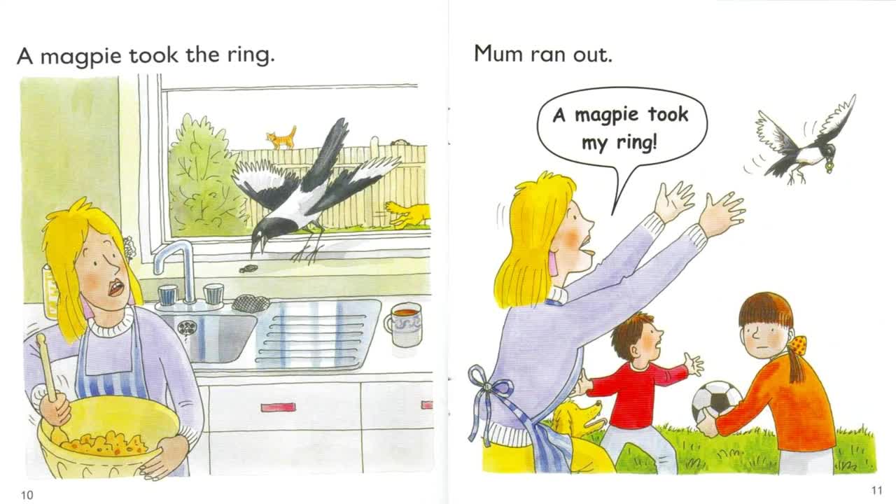 The Rook and the Ring