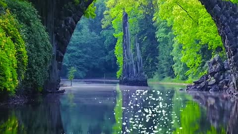 reflection on the lake