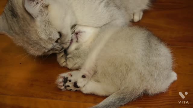 Lovely intertainment between mother and child.