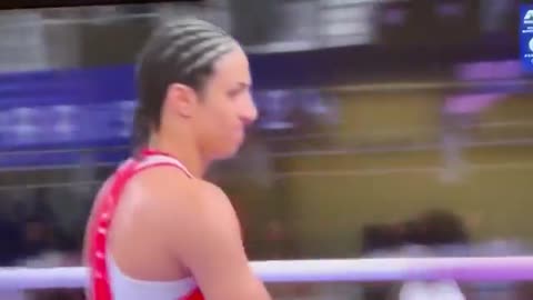 Angela Carini was forced to fight against a Man at the Olympics… she quit and cried her eyes out
