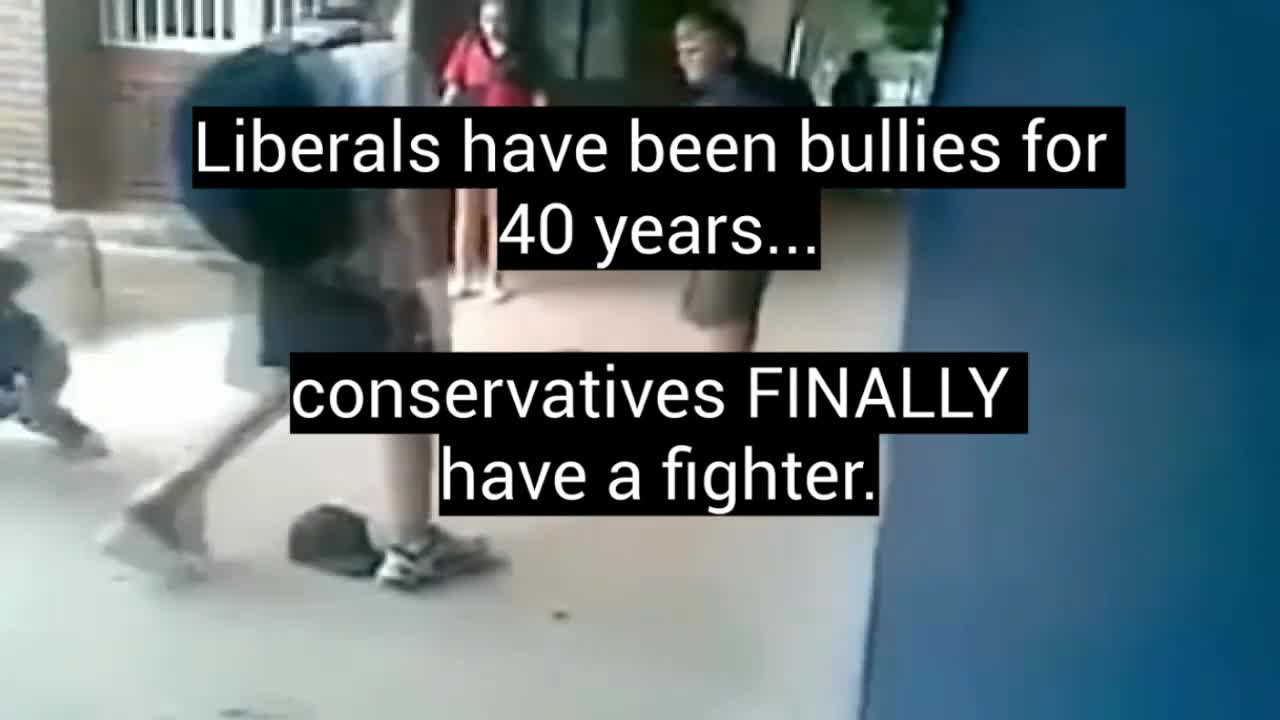Who is the BULLY?