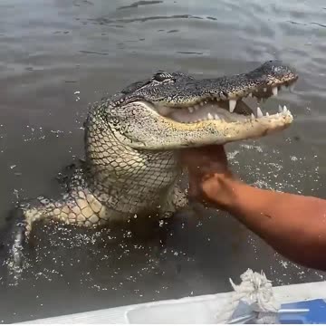 would you have the courage ??? 😱😱😱😱😱