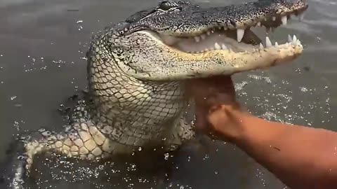 would you have the courage ??? 😱😱😱😱😱