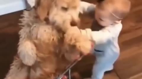 Cute Baby and Cute Dog