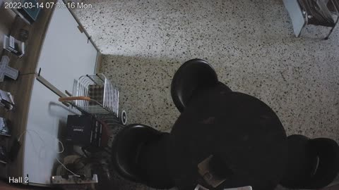 hallmid midnight 20220314