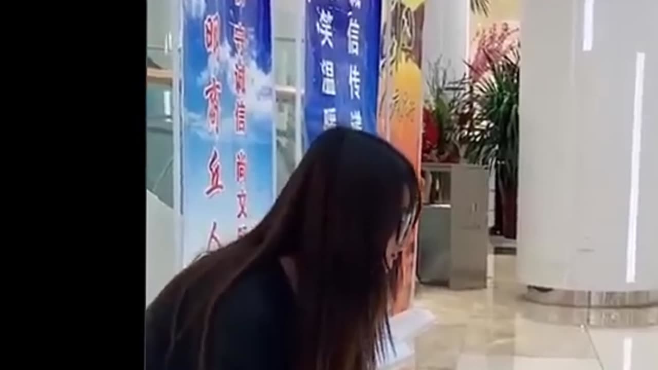 Cute and funny animals