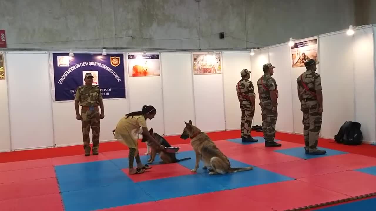 Dog Squad demonstration by the CISF