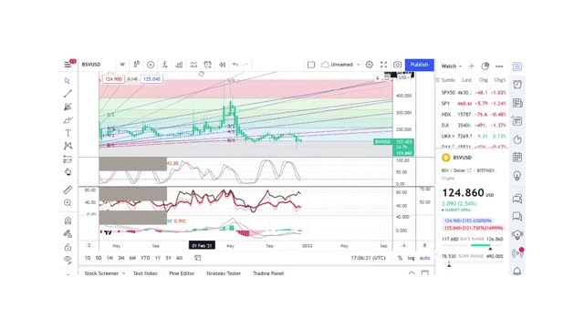 Basics to Investing - Bitcoin SV Coin BSV - Stock Charts #075