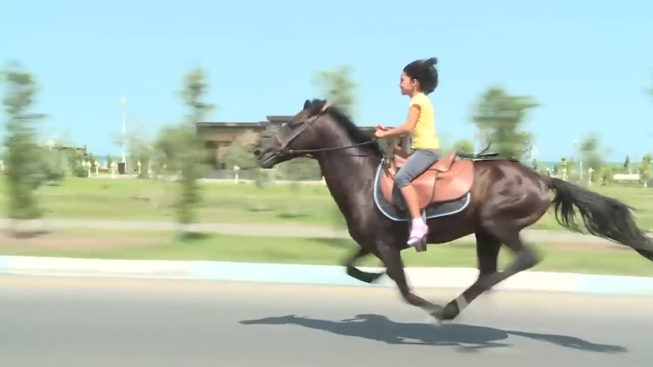 Super lady __ HORSE Riding __ horse game __ Fast Horse riding