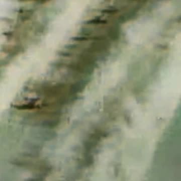 29- The harsh deserts of North Africa, near Gazala, December 7, 1941