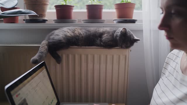 Woman Working With Laptop Beside Her Cat