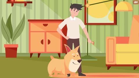 10 Odd Dog Behavior and What They Actually Mean