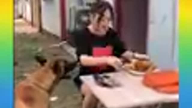 This video's for joy