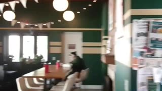 From fire station to restaurant.