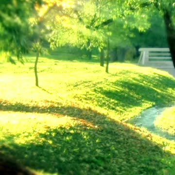 10-Minute Guided Meditation for Instant Calmness 🕒 #meditation #calm #shorts