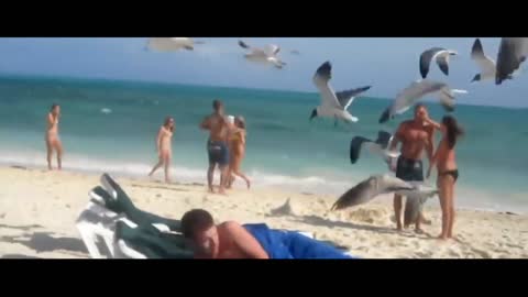 Birds are playing with the man in beach.