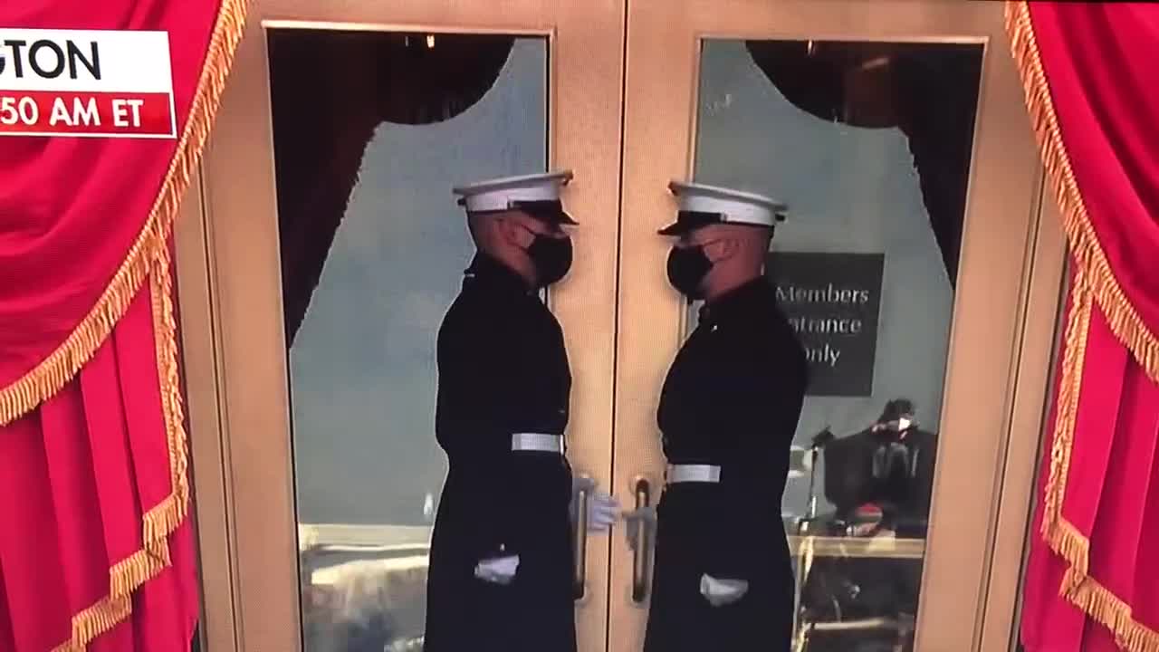 Brutus and Barry Arrive