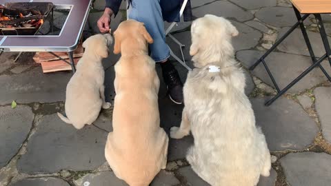 Snacks with mom and dad.