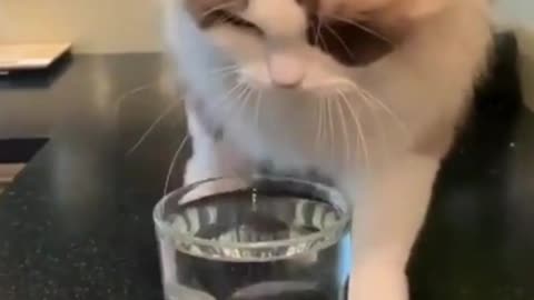 So happy to drink water!