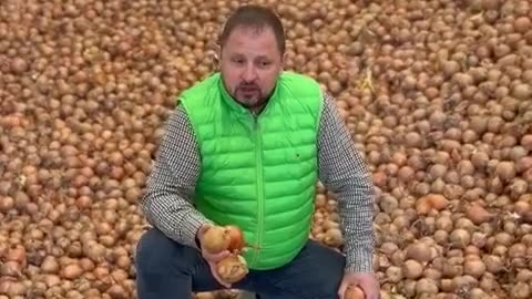Od 12.4. 2024 samosběr cibule 1Kg/8Kč