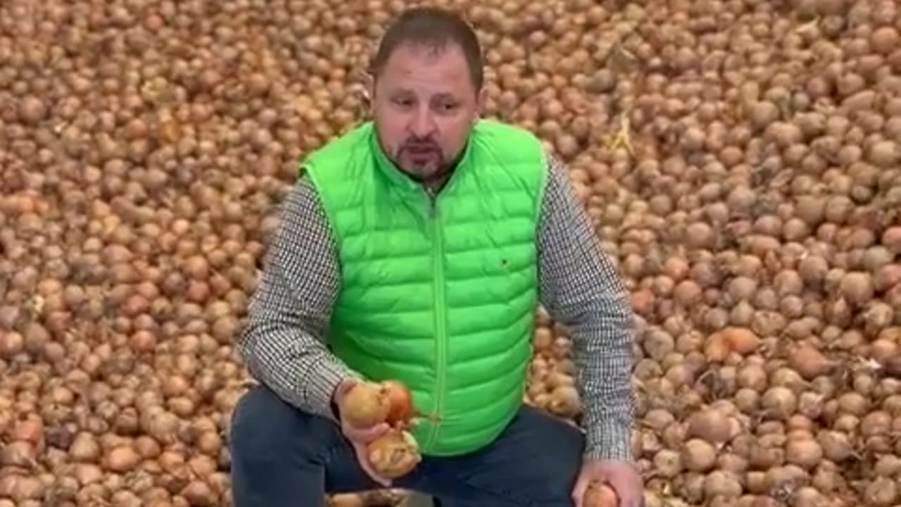 Od 12.4. 2024 samosběr cibule 1Kg/8Kč