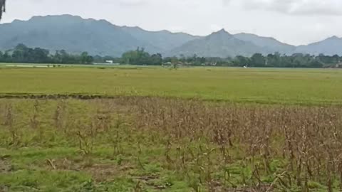 Mountain Tulung agung