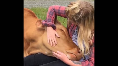 Woman vs Cow loving