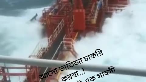নেভি লাভার