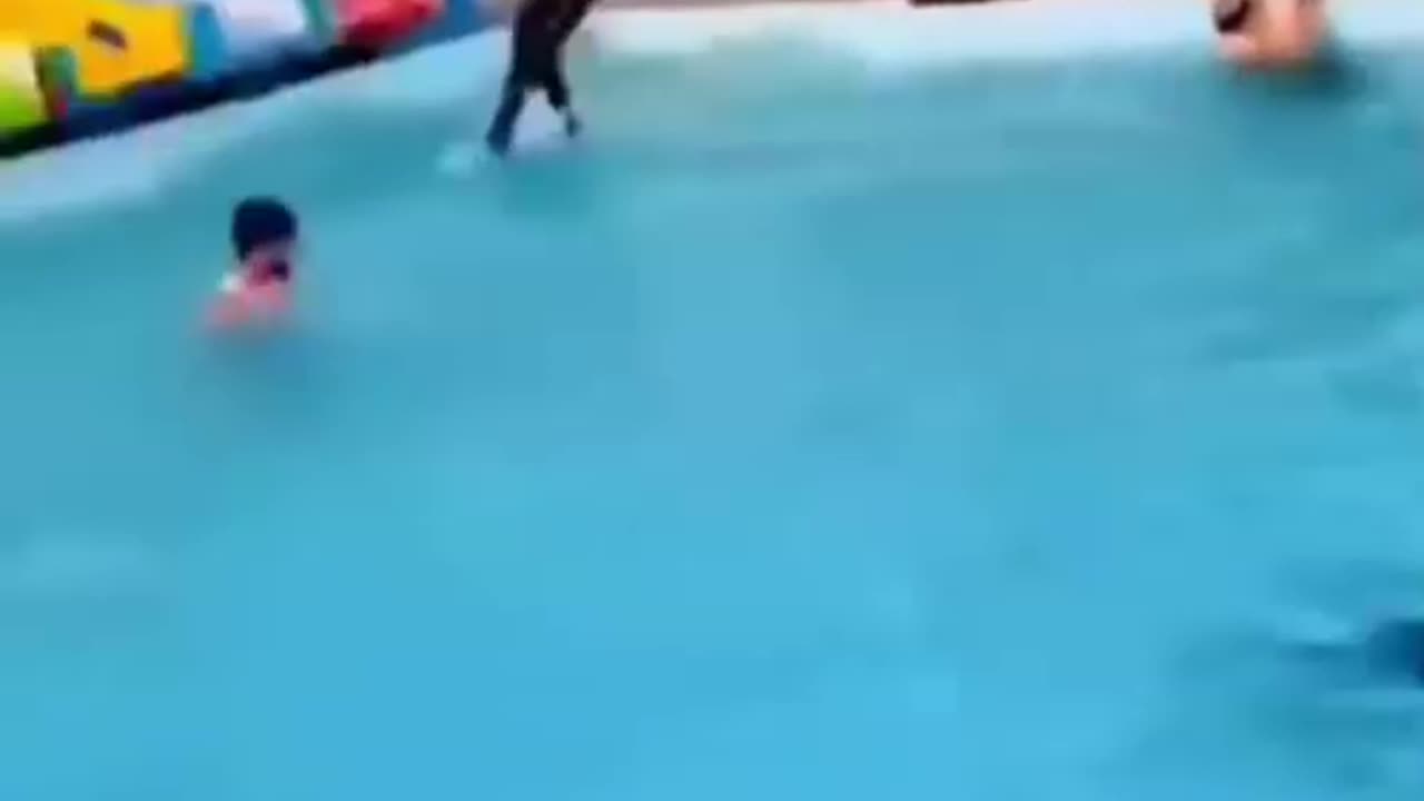 Funny video- Try Not to Laugh!