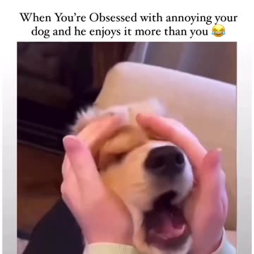 Funny moments with my dog #50