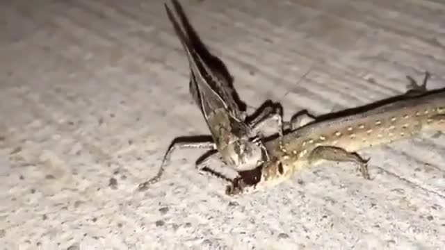 omg it's so scary.....