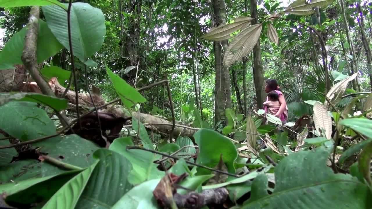 Lessons from the Amazon a Sustainable Future