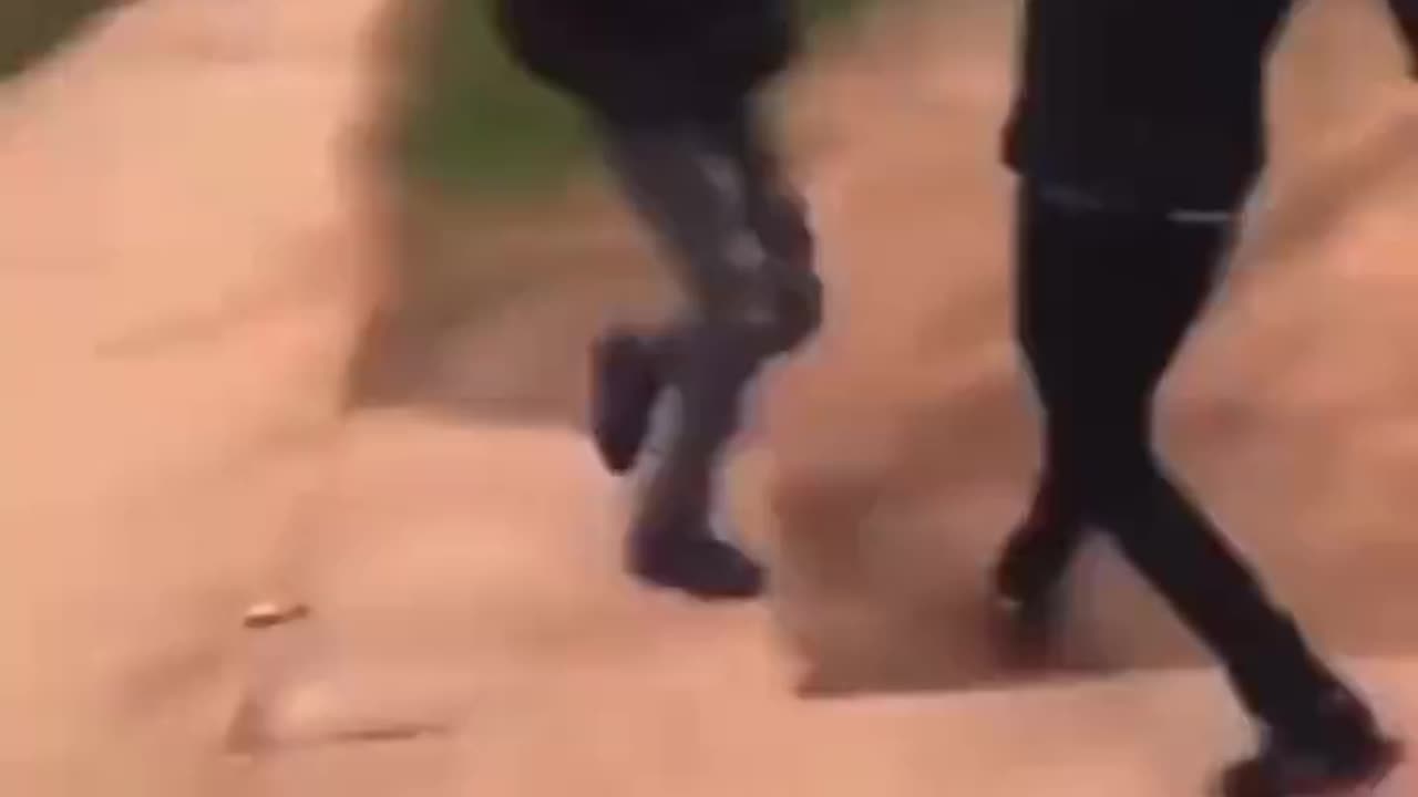 Jumped In Jumped Out
