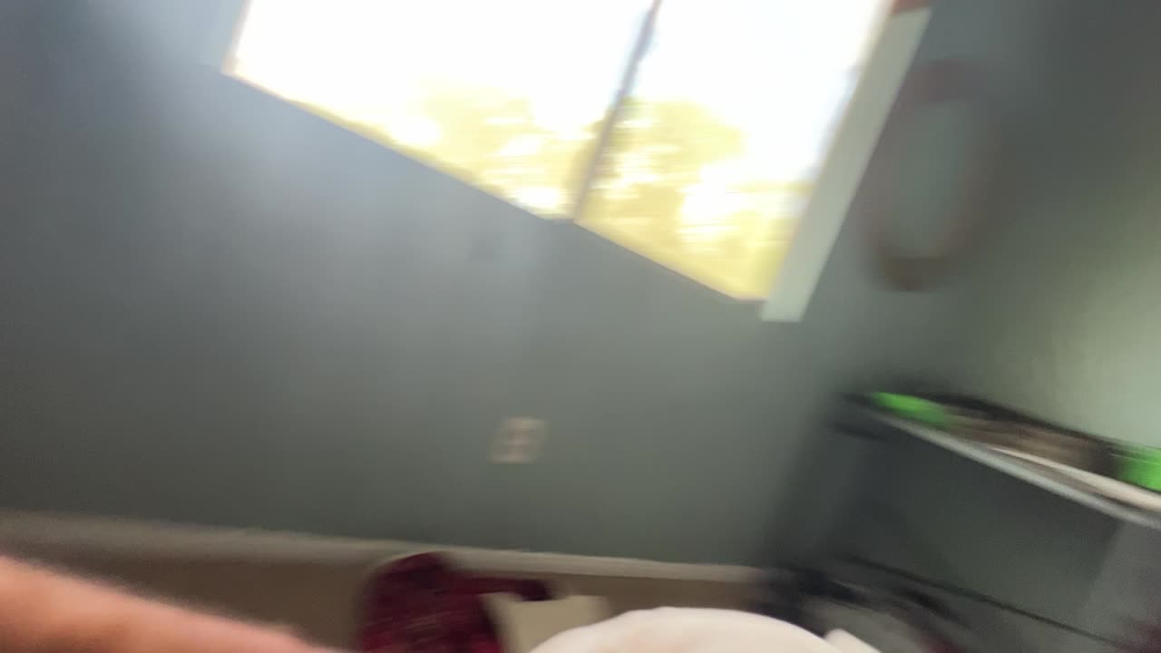 The school system is a mess.