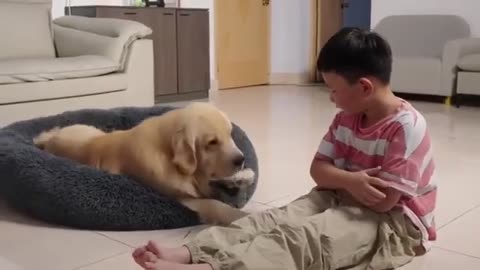 Pet Dog & Little Boy