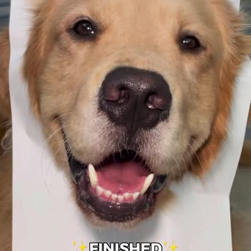 I like it.. Picasso 🤌🏻🎨