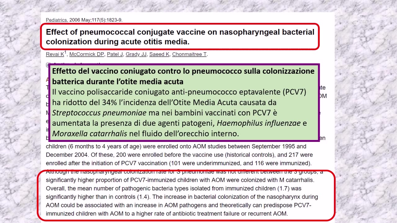 Vaccini e disbiosi intestinale: c'è un nesso causale?