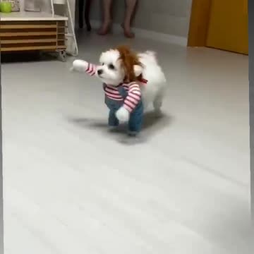 Funny 😉😂😂😉💜