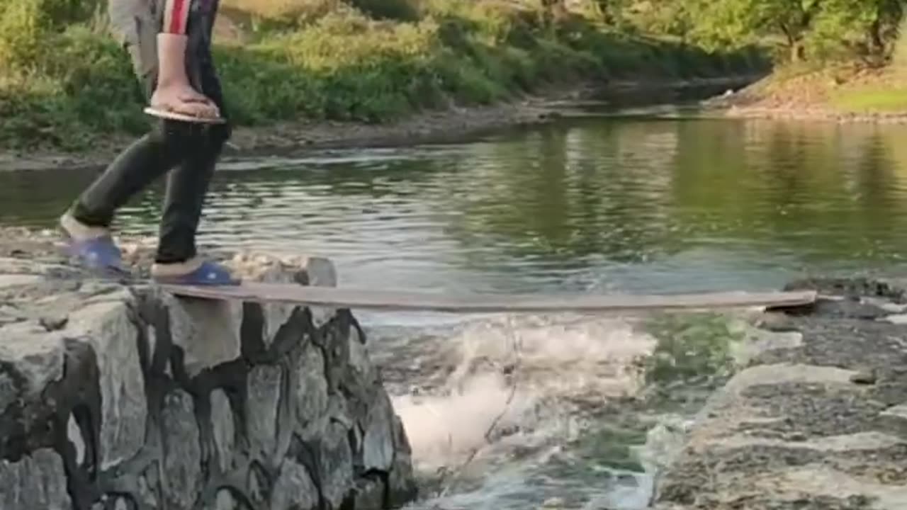 Funny videos