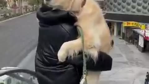 My dog didn't want to go on escalator