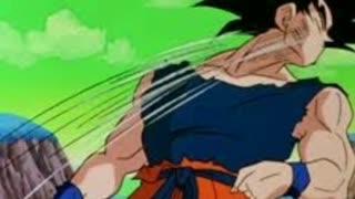 Goku is a Loser