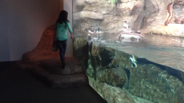 Funny Kids at the Aquarium | Girl SPOOKED By A Beluga Whale!
