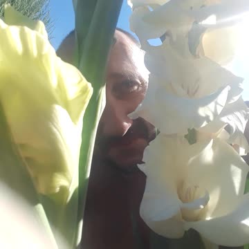 Friends, happy Friday