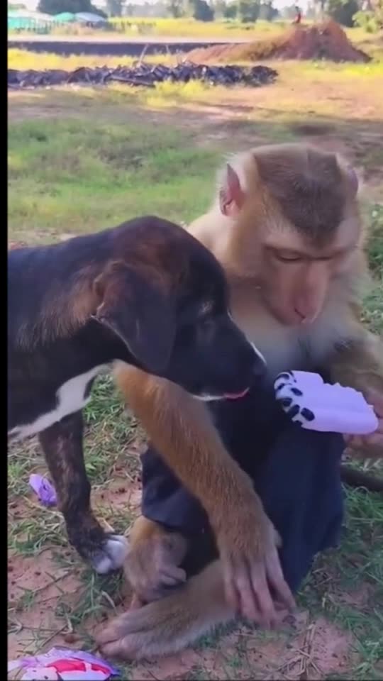 दिल से नहीं खिलानी तो मत लाया कर यहाँ मेरे सामने