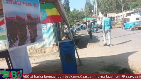 Qophii Arraata Biyyoolessa Oromiyaa Muddee 15,2023