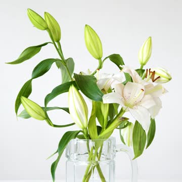 Nature - fresh flowers so Beautiful