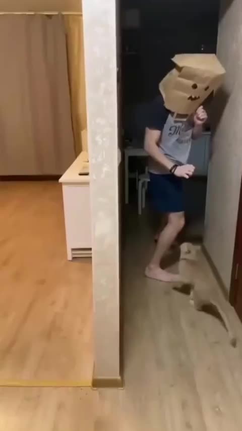 Hard lesson to learn for a cat owner