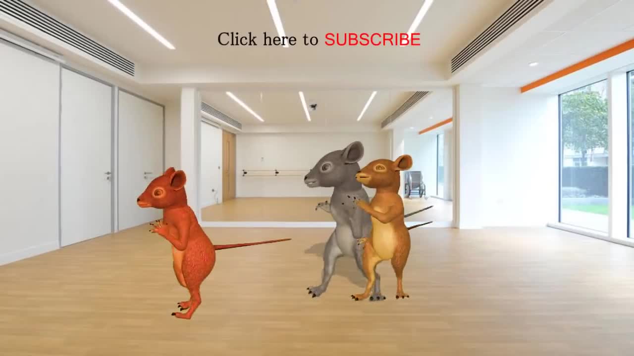 Rat dancing on the floor